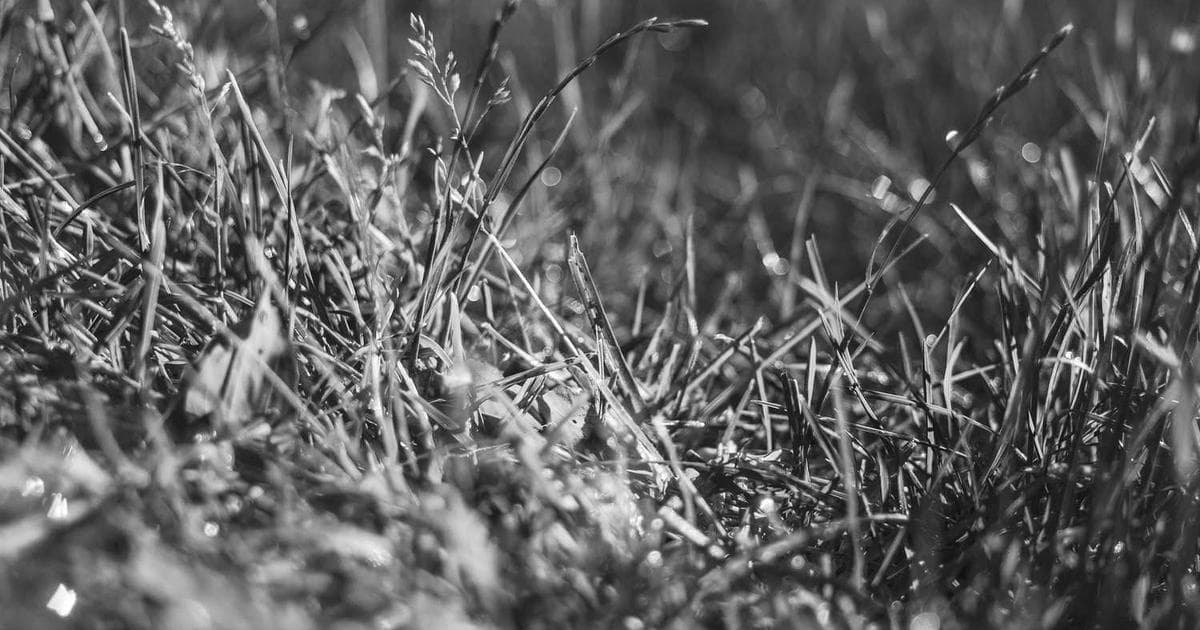 Pyinstaller打包常见问题