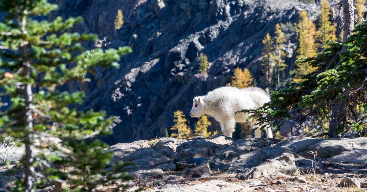 2024Fall 软件测试 期末回忆