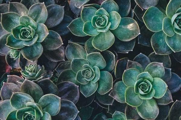 Magick Link登录的业务理解