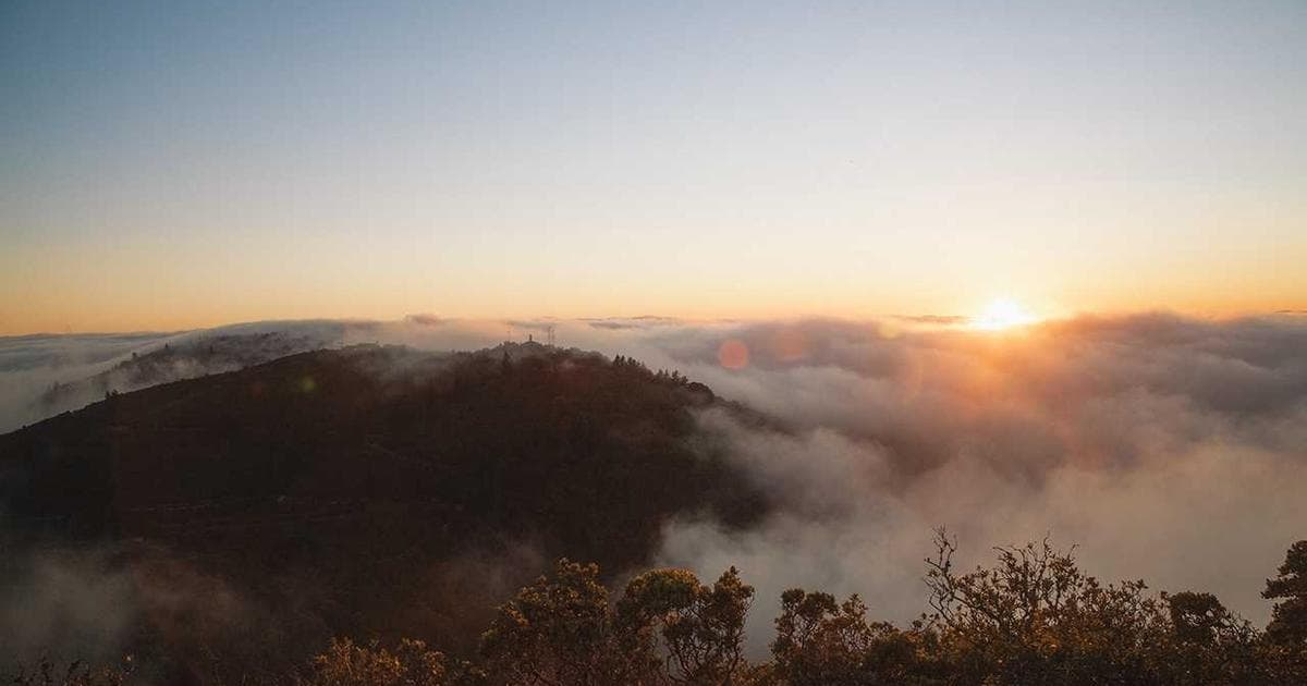 LLM 分布式训练技术