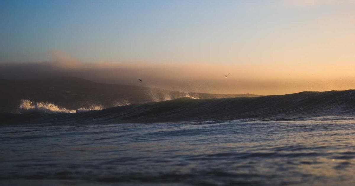 Nextjs如何简单实现搜索功能