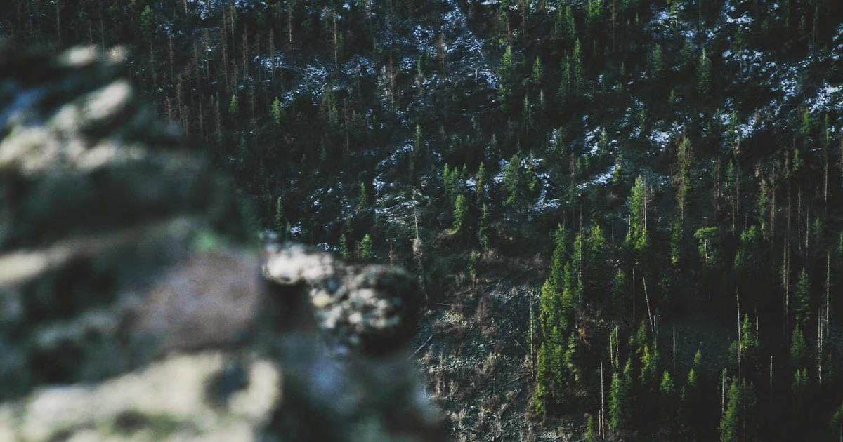 Vercel 防扣费/防封号指南 (五大金刚)