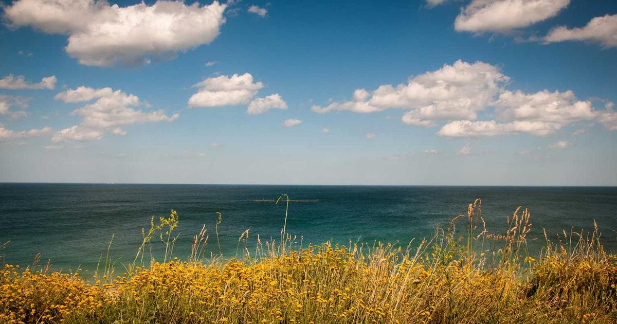 邮箱保活程序-通义千问