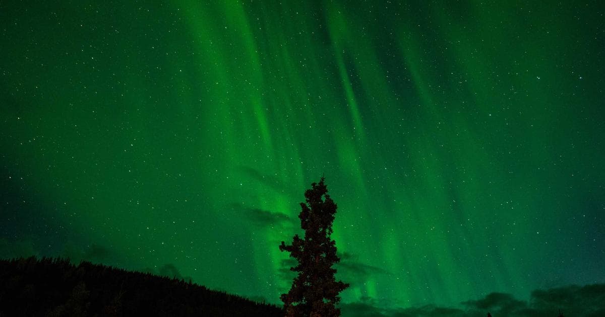 我们都在选择性忽视AI coding房间里面的大象