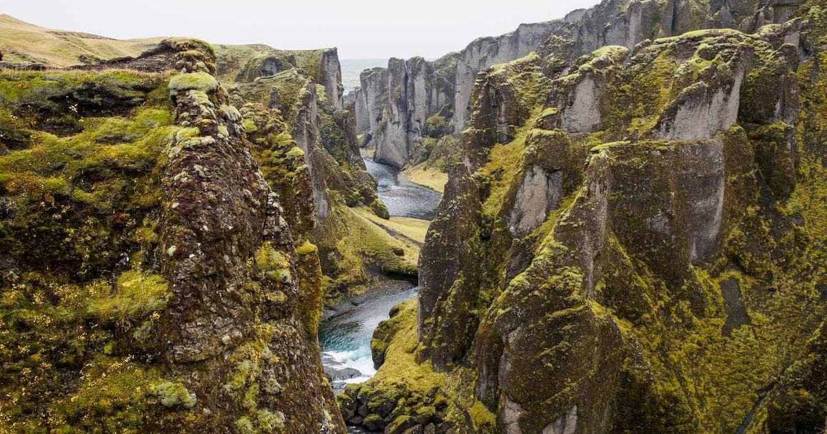 jq_schema基础语法