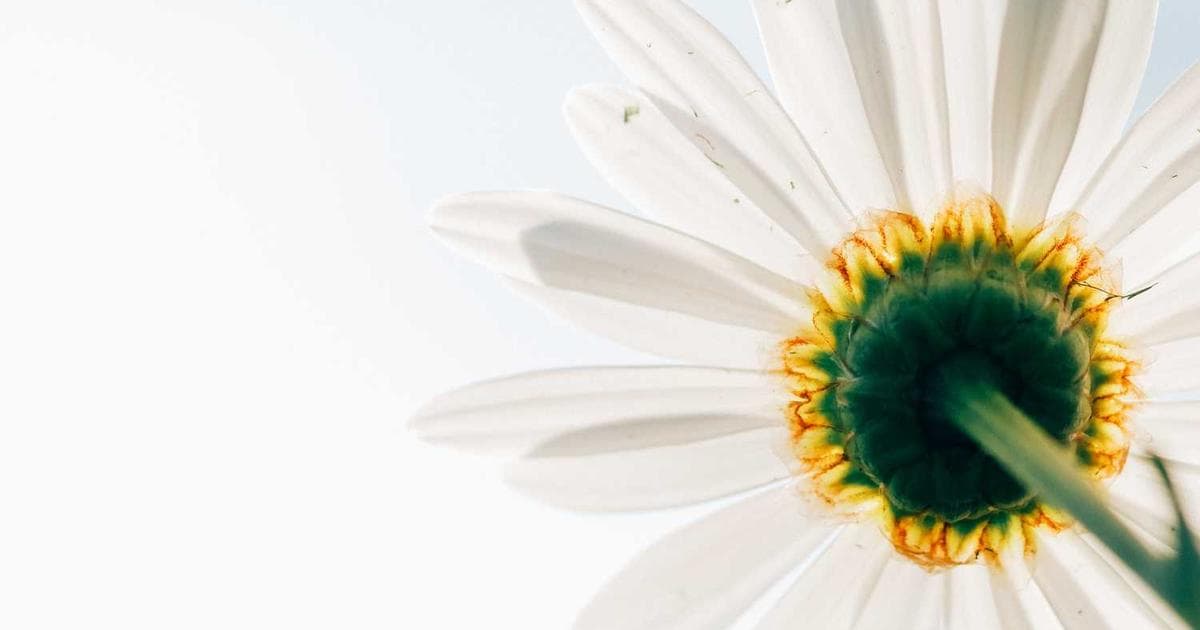 请求防抖：多场景解决方案