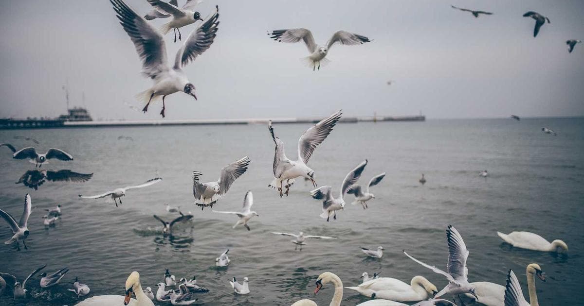 XGBoost原理必知必会