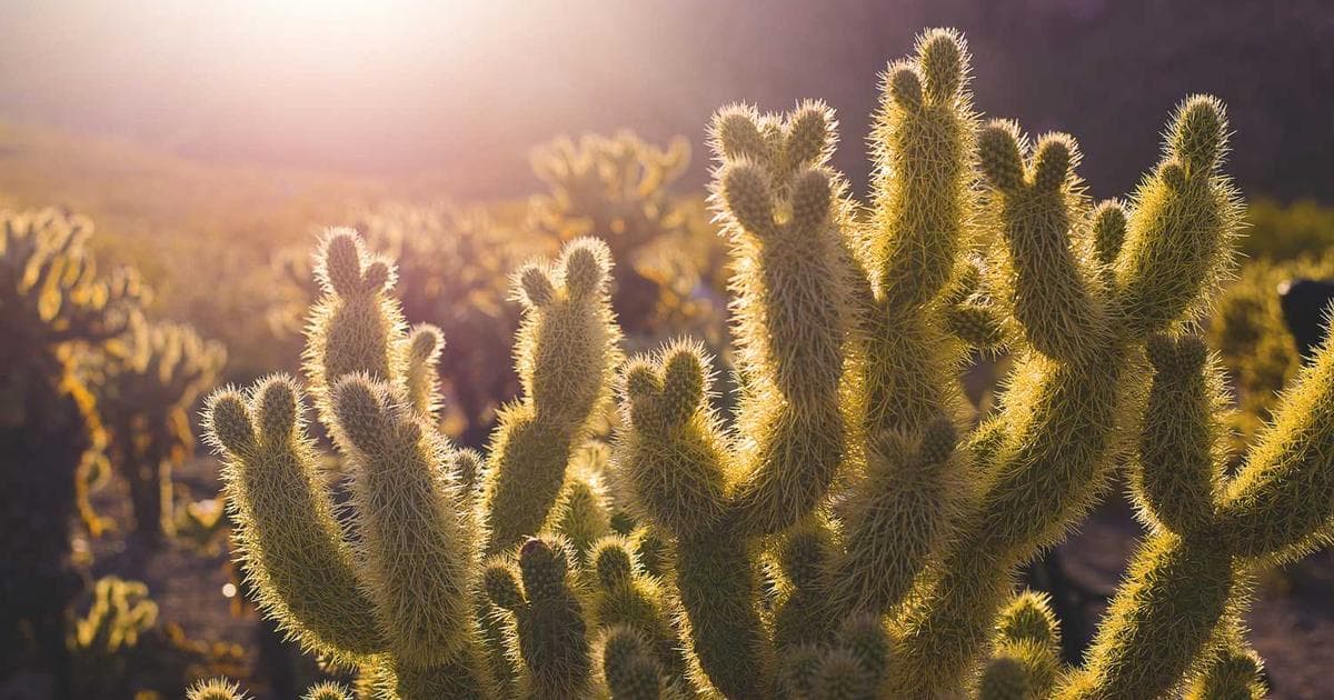 最好用的内存清理软件：Mem Reduct