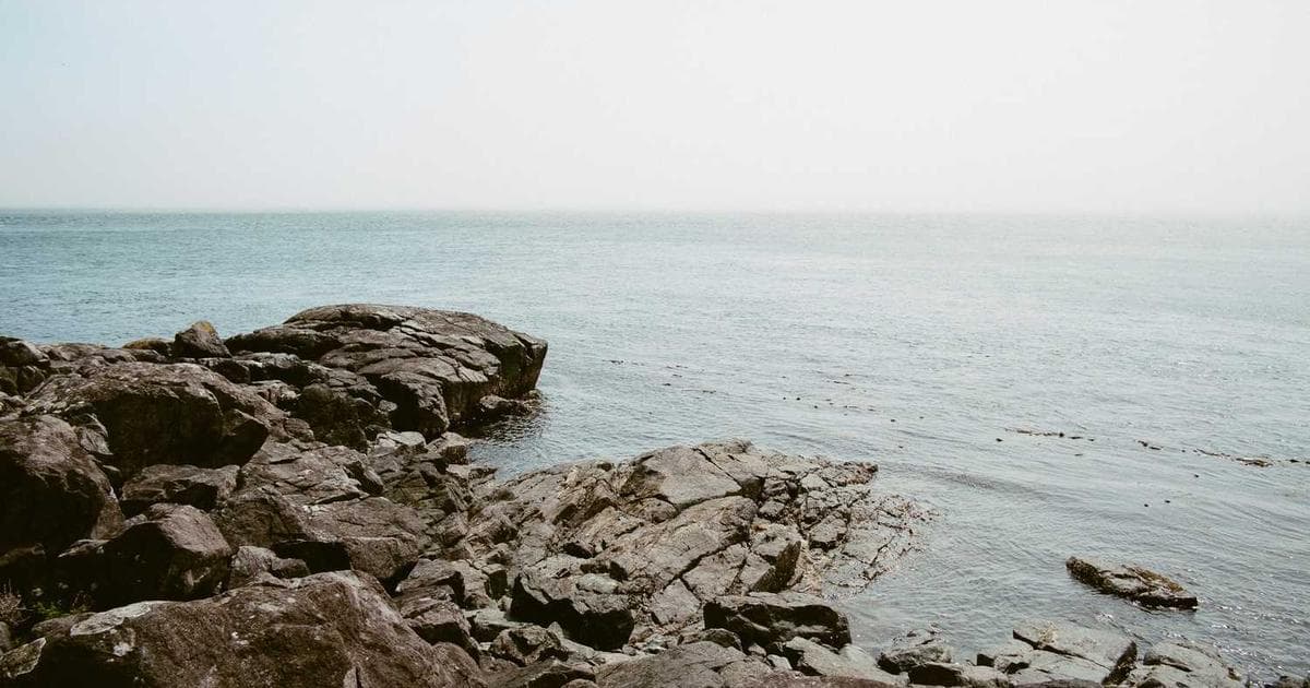 KL散度,交叉熵和编码之间的关系